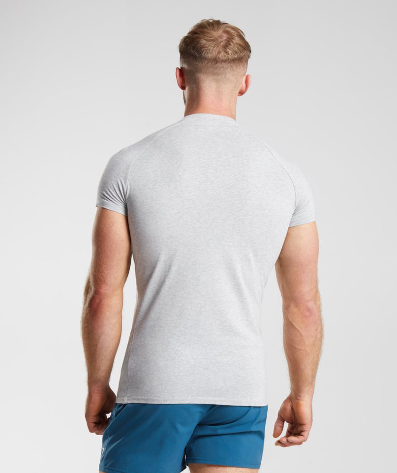 Gymshark Apollo T-shirt Herr Ljusgrå | SE-96057M