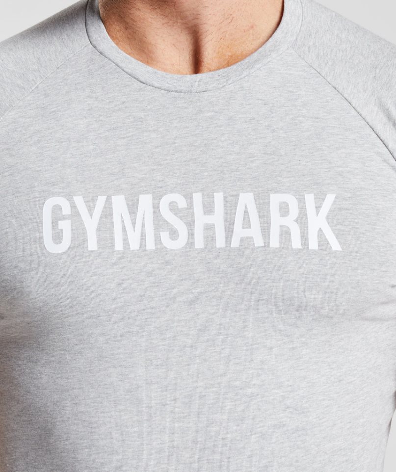 Gymshark Apollo T-shirt Herr Ljusgrå | SE-96057M