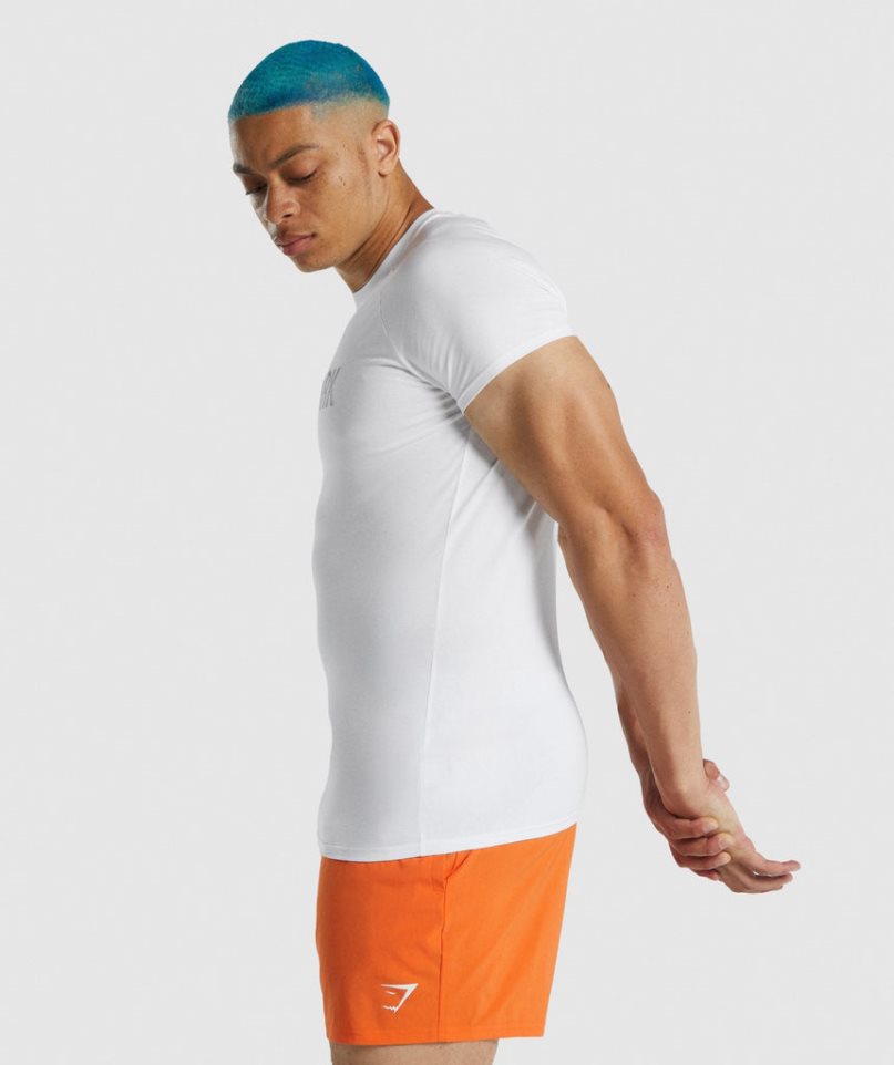 Gymshark Apollo T-shirt Herr Vita | SE-41890N