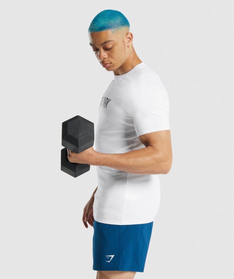 Gymshark Apollo T-shirt Herr Vita | SE-43679I