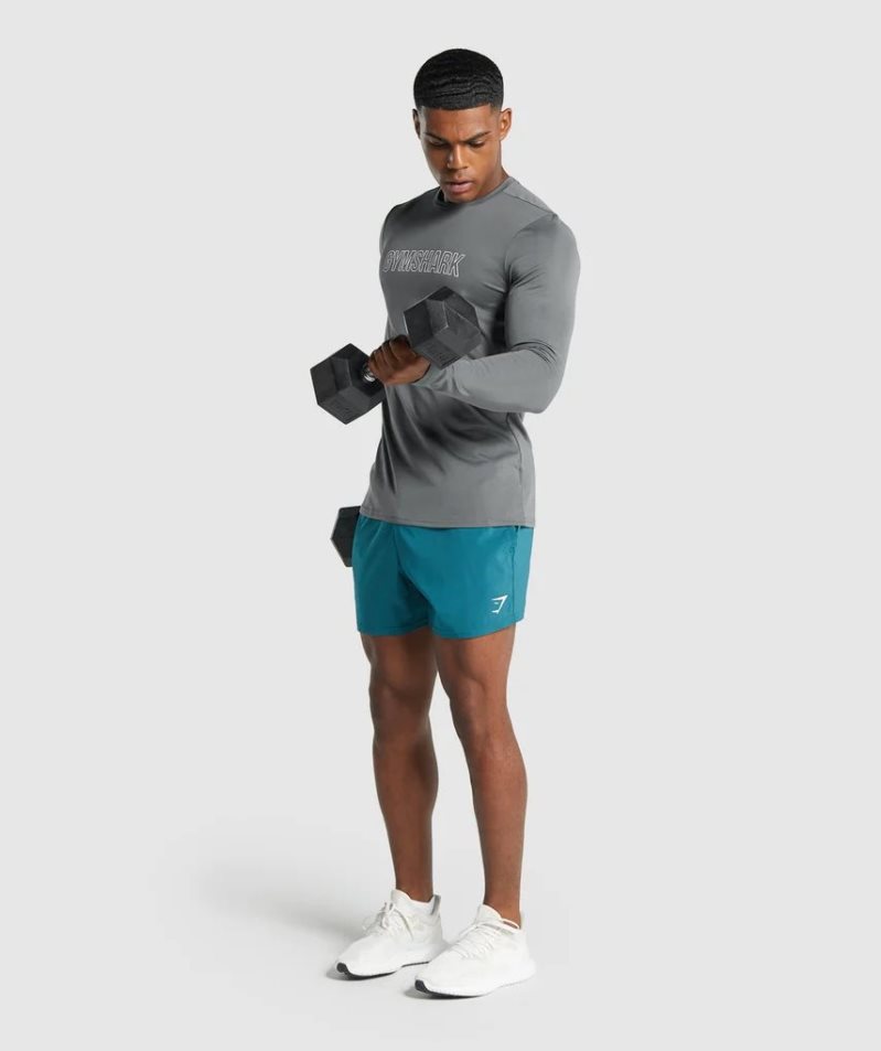 Gymshark Arrival Long Sleeve Tryck T-shirt Herr Grå | SE-25971L