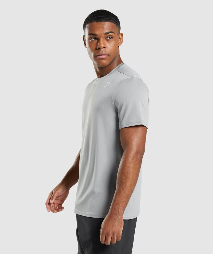 Gymshark Arrival Regular Fit T-shirt Herr Ljusgrå | SE-25790H