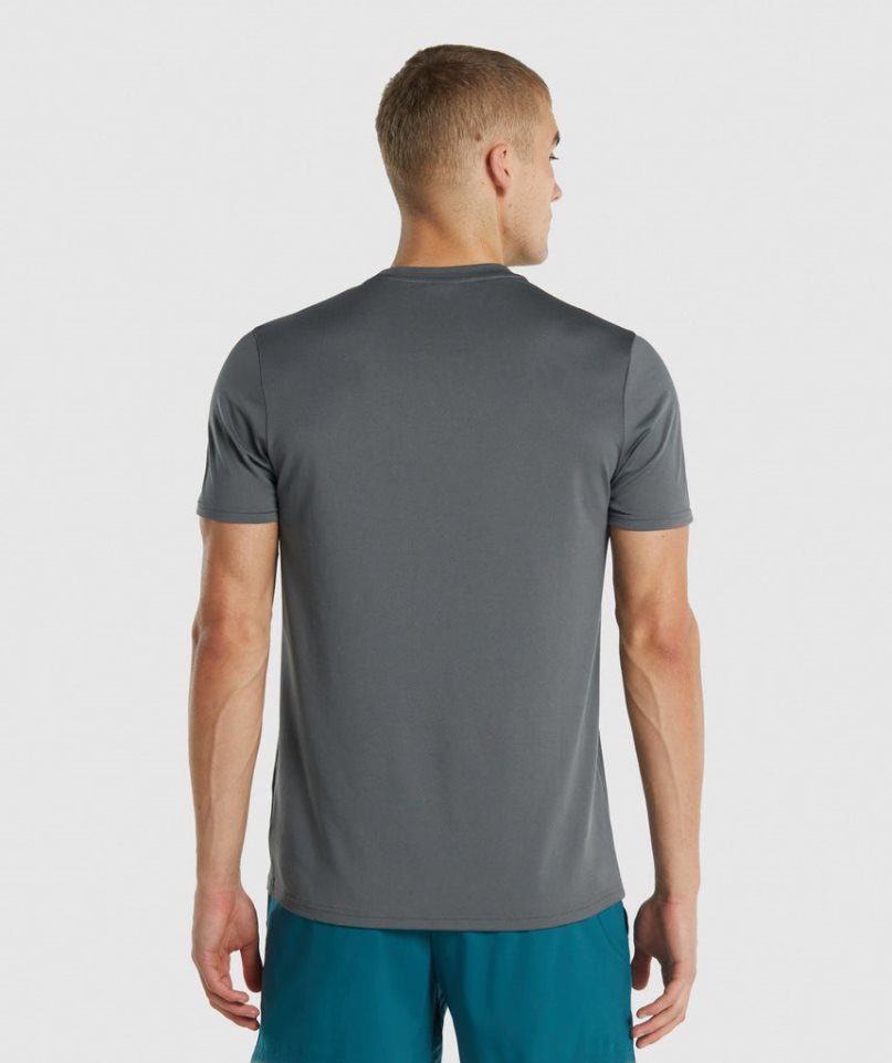 Gymshark Arrival Regular Fit T-shirt Herr Grå | SE-72914D