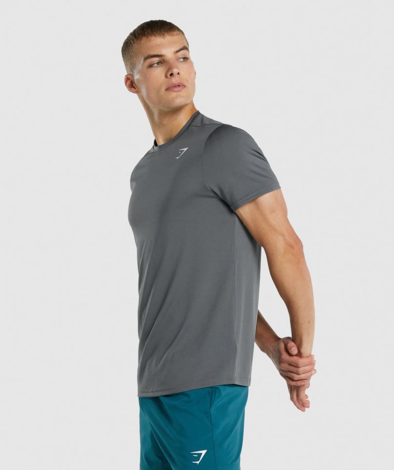 Gymshark Arrival Regular Fit T-shirt Herr Grå | SE-72914D