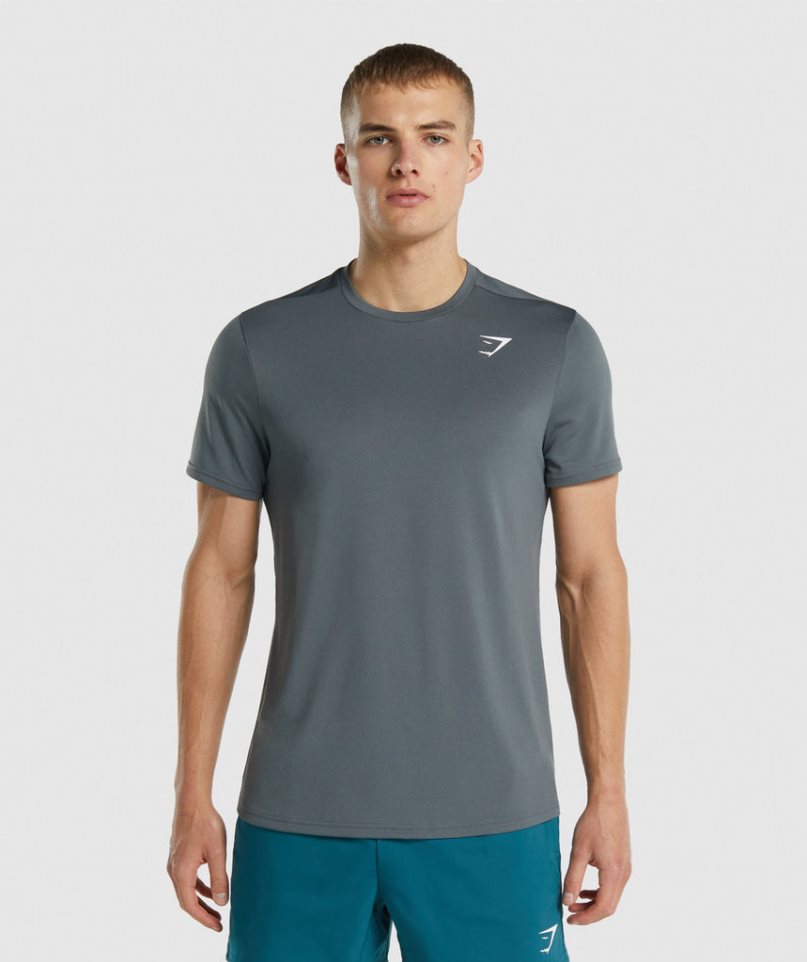 Gymshark Arrival Regular Fit T-shirt Herr Grå | SE-72914D