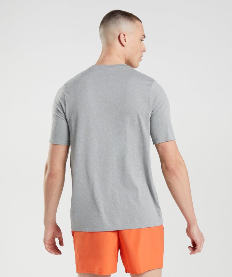 Gymshark Arrival Seamless T-shirt Herr Ljusgrå | SE-25068K