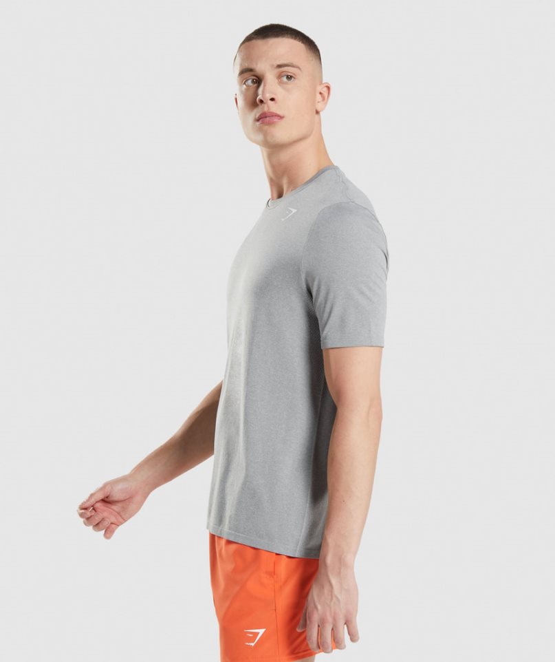 Gymshark Arrival Seamless T-shirt Herr Ljusgrå | SE-25068K