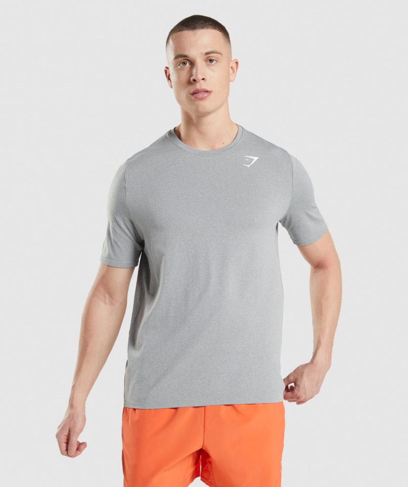 Gymshark Arrival Seamless T-shirt Herr Ljusgrå | SE-25068K