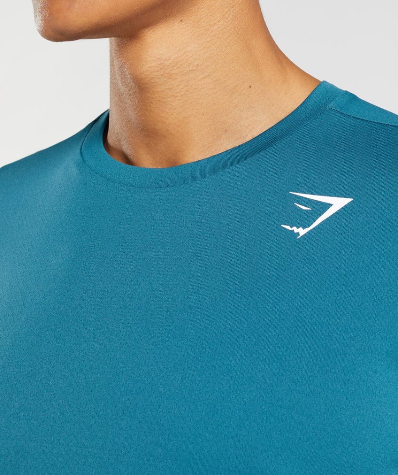 Gymshark Arrival T-shirt Herr Blå | SE-69812H