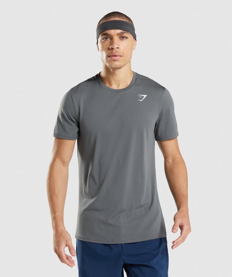 Gymshark Arrival T-shirt Herr Grå | SE-90235N