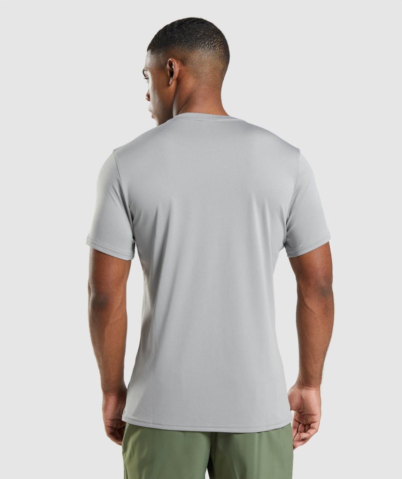 Gymshark Arrival T-shirt Herr Ljusgrå | SE-16254G