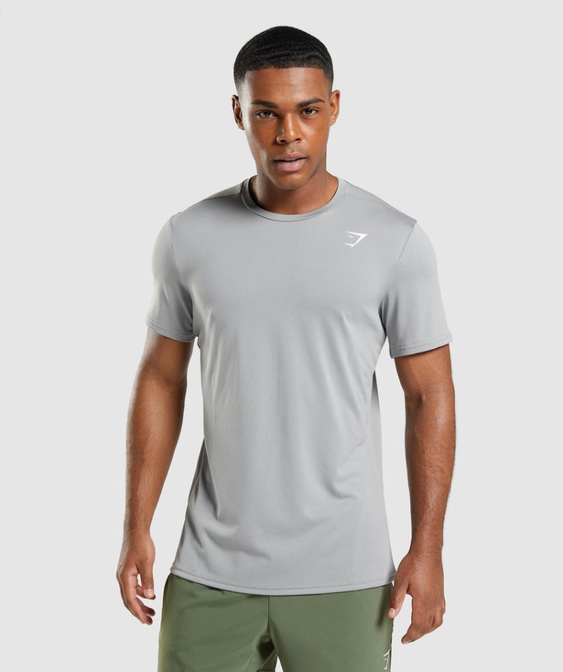 Gymshark Arrival T-shirt Herr Ljusgrå | SE-16254G