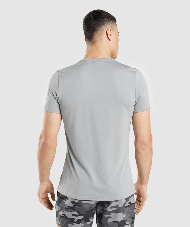 Gymshark Arrival Tryck T-shirt Herr Ljusgrå | SE-40835Q