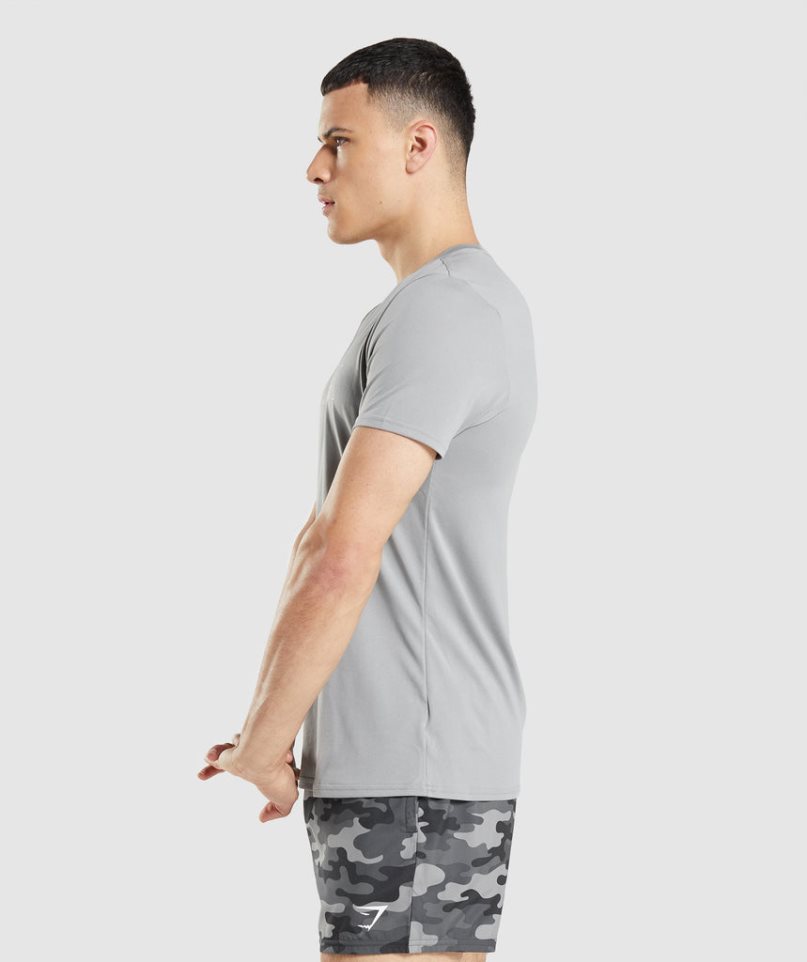 Gymshark Arrival Tryck T-shirt Herr Ljusgrå | SE-40835Q