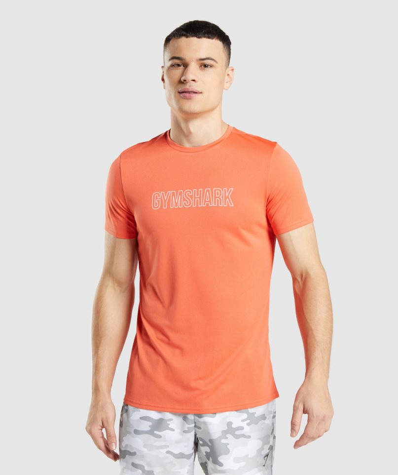 Gymshark Arrival Tryck T-shirt Herr Orange | SE-09158P