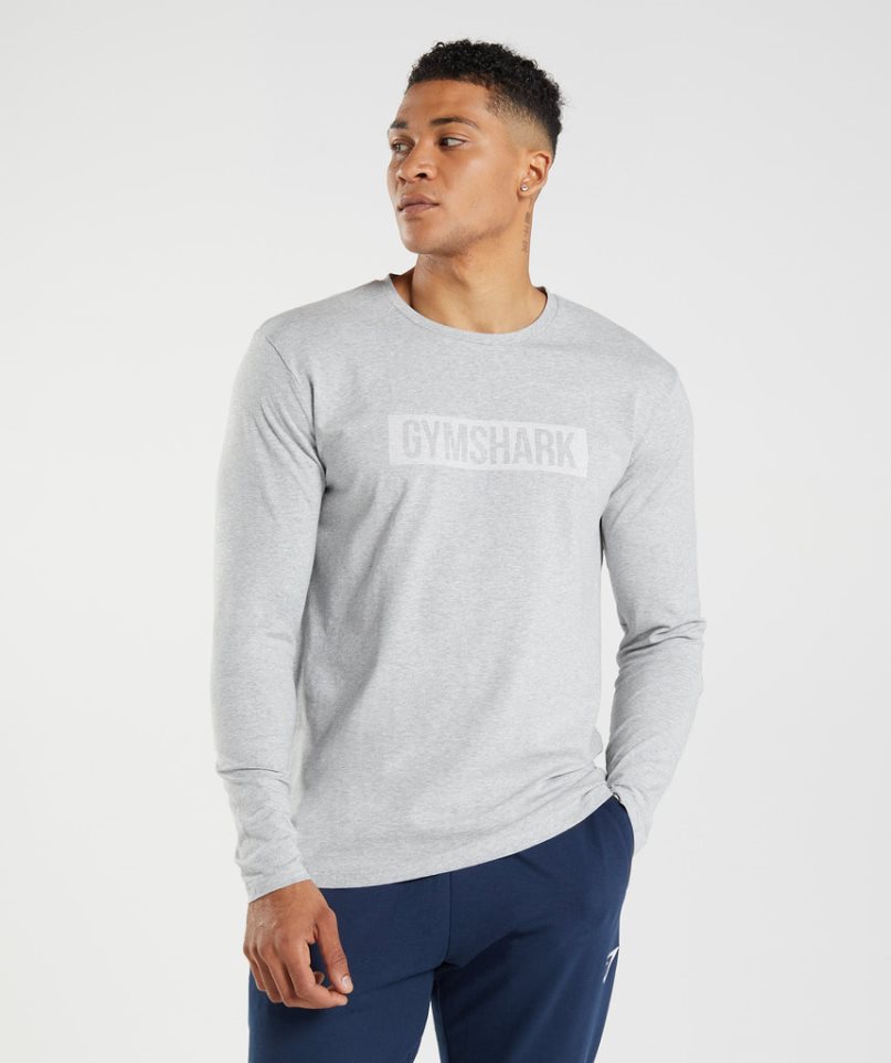 Gymshark Block Long Sleeve T-shirt Herr Ljusgrå | SE-27069X