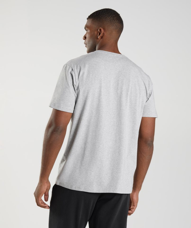 Gymshark Block T-shirt Herr Ljusgrå | SE-14352G