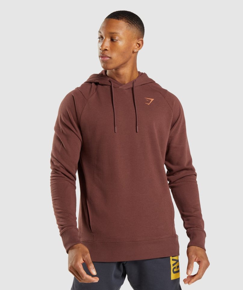 Gymshark Bold Hoodie Herr Bruna | SE-91620Z