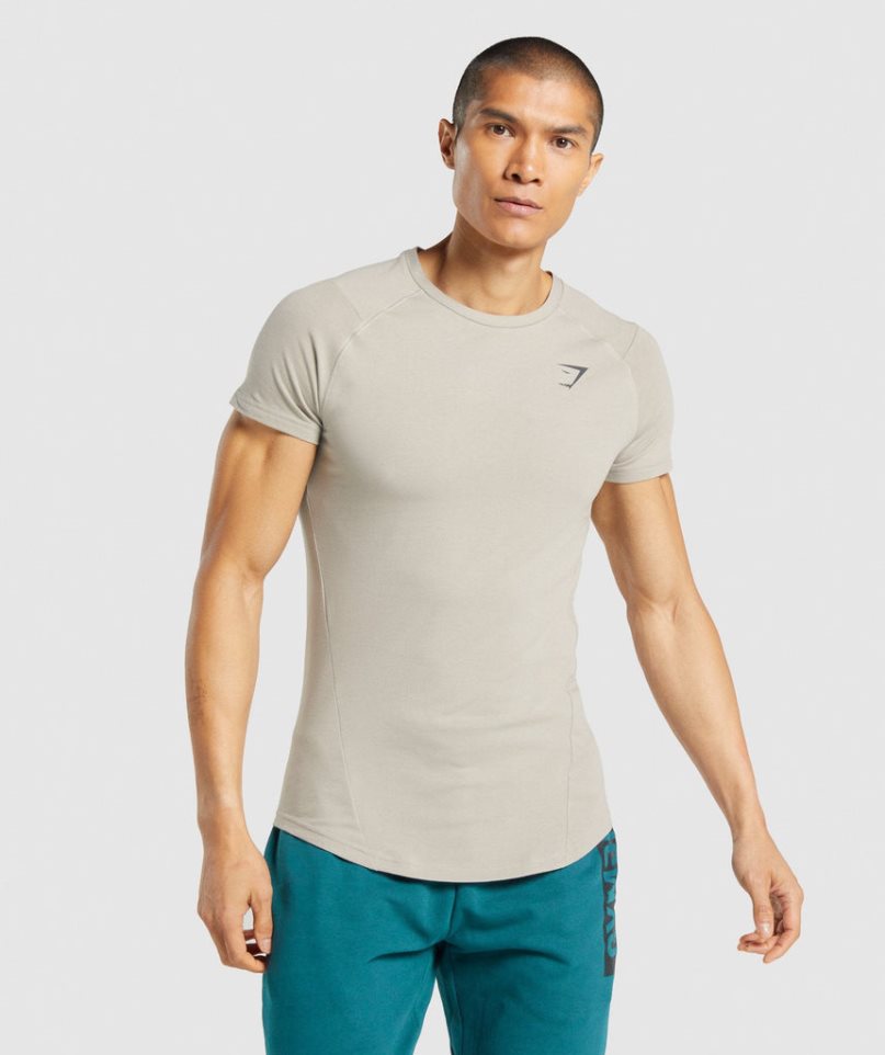 Gymshark Bold T-shirt Herr Grå | SE-04918K