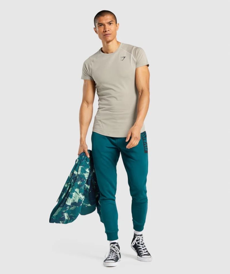 Gymshark Bold T-shirt Herr Grå | SE-04918K