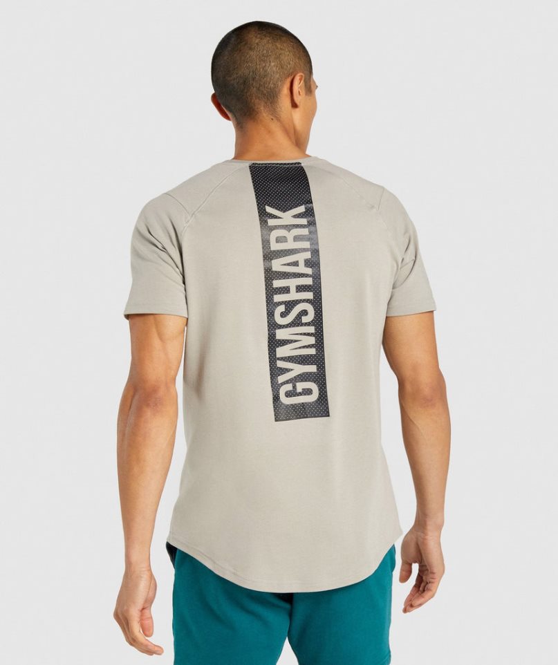 Gymshark Bold T-shirt Herr Grå | SE-56710R