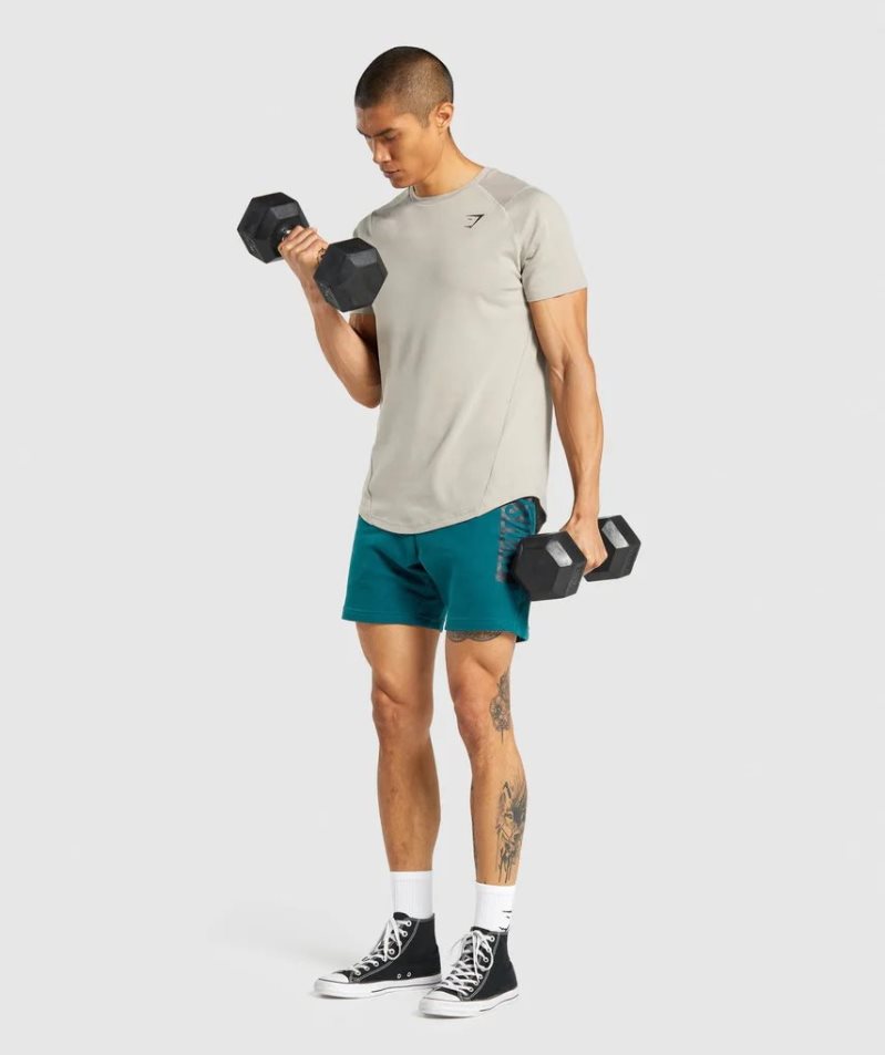 Gymshark Bold T-shirt Herr Grå | SE-56710R