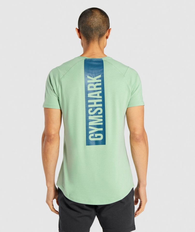 Gymshark Bold T-shirt Herr Gröna | SE-08719V