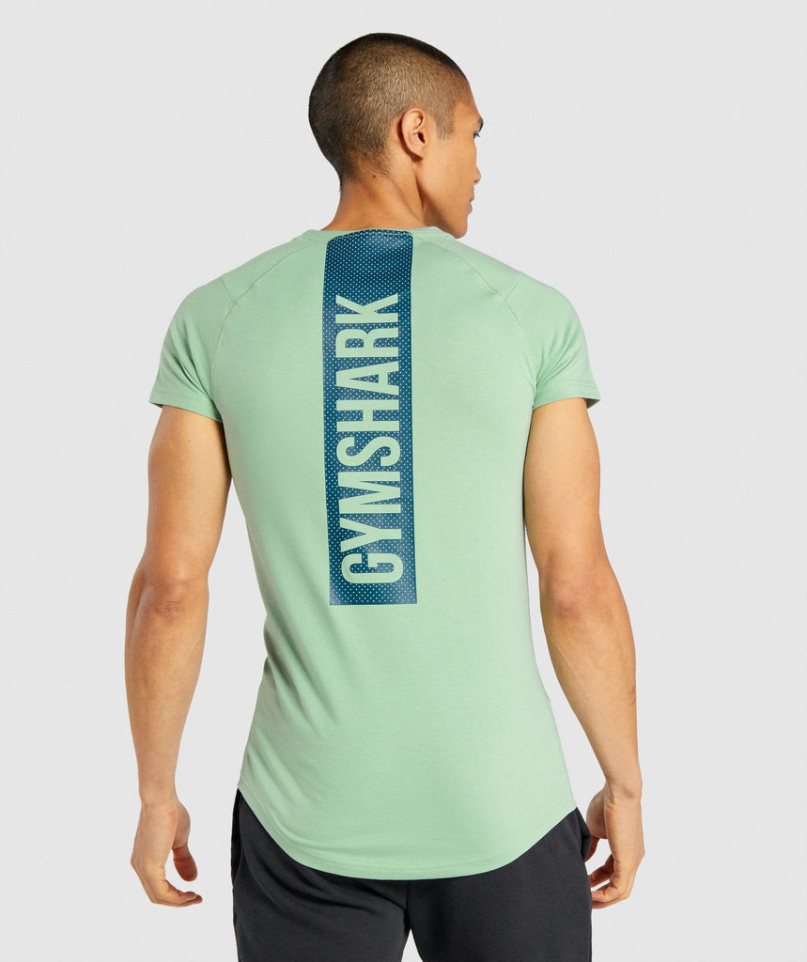 Gymshark Bold T-shirt Herr Gröna | SE-89375F