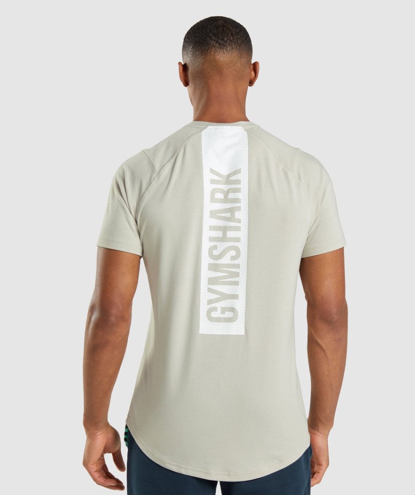 Gymshark Bold T-shirt Herr Mintgröna | SE-24351B