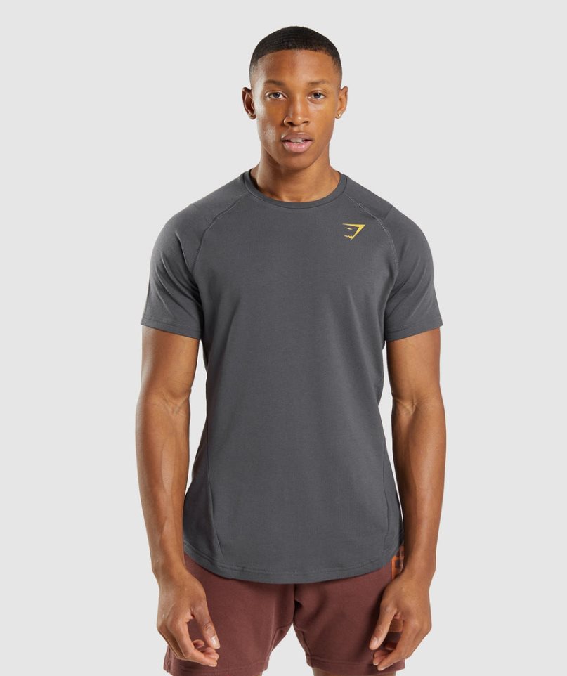 Gymshark Bold T-shirt Herr Mörkgrå | SE-74253N