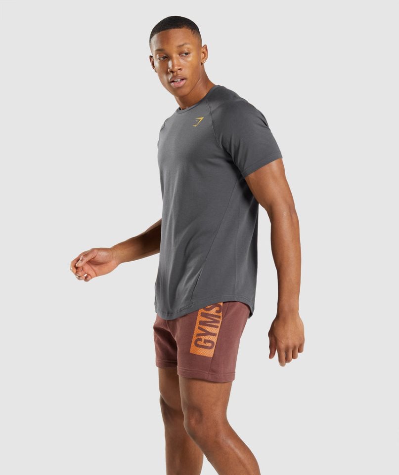 Gymshark Bold T-shirt Herr Mörkgrå | SE-74253N