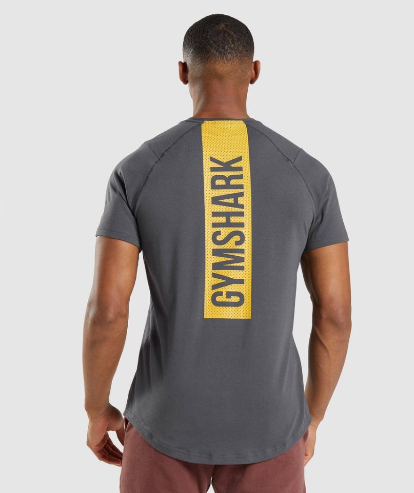 Gymshark Bold T-shirt Herr Mörkgrå | SE-74253N