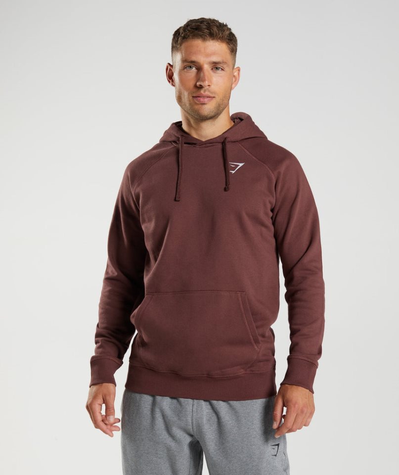 Gymshark Crest Hoodie Herr Bruna | SE-12546Q