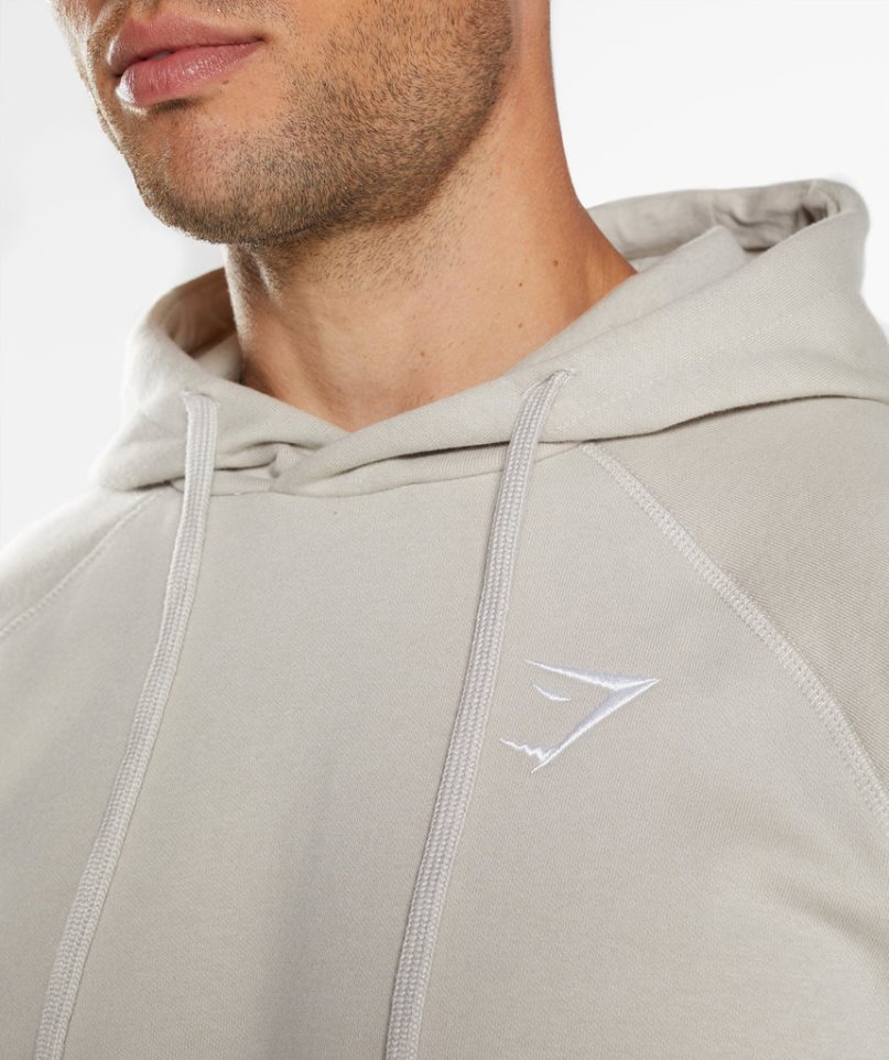 Gymshark Crest Hoodie Herr Ljusgrå | SE-82015N