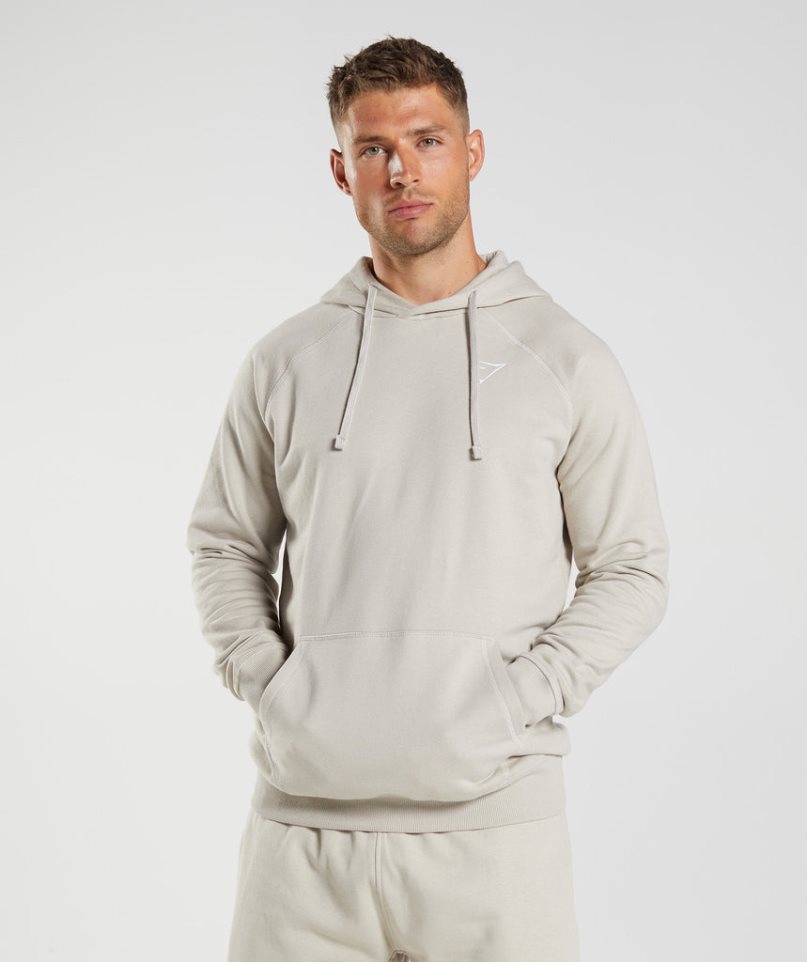 Gymshark Crest Hoodie Herr Ljusgrå | SE-82015N