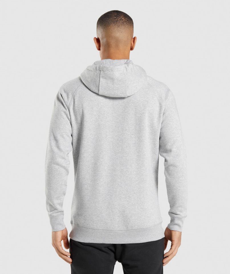 Gymshark Crest Hoodie Herr Ljusgrå | SE-98054B