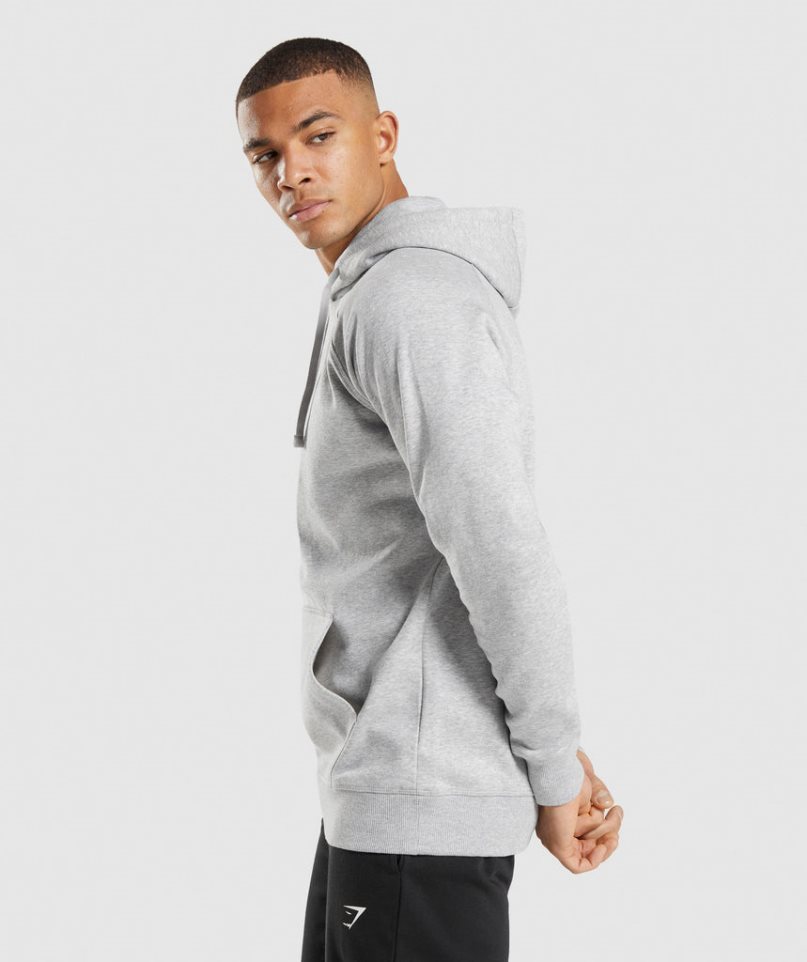 Gymshark Crest Hoodie Herr Ljusgrå | SE-98054B