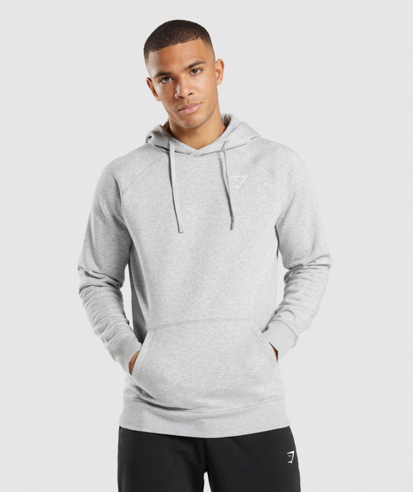 Gymshark Crest Hoodie Herr Ljusgrå | SE-98054B