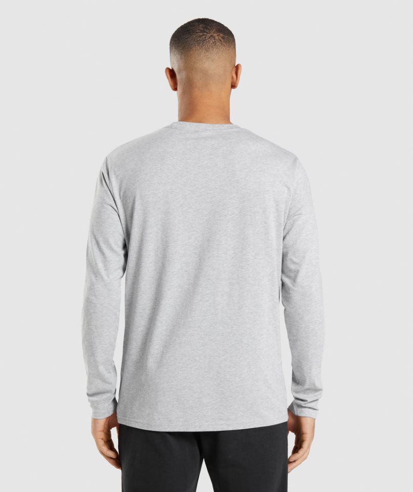 Gymshark Crest Long Sleeve T-shirt Herr Ljusgrå | SE-45832Z