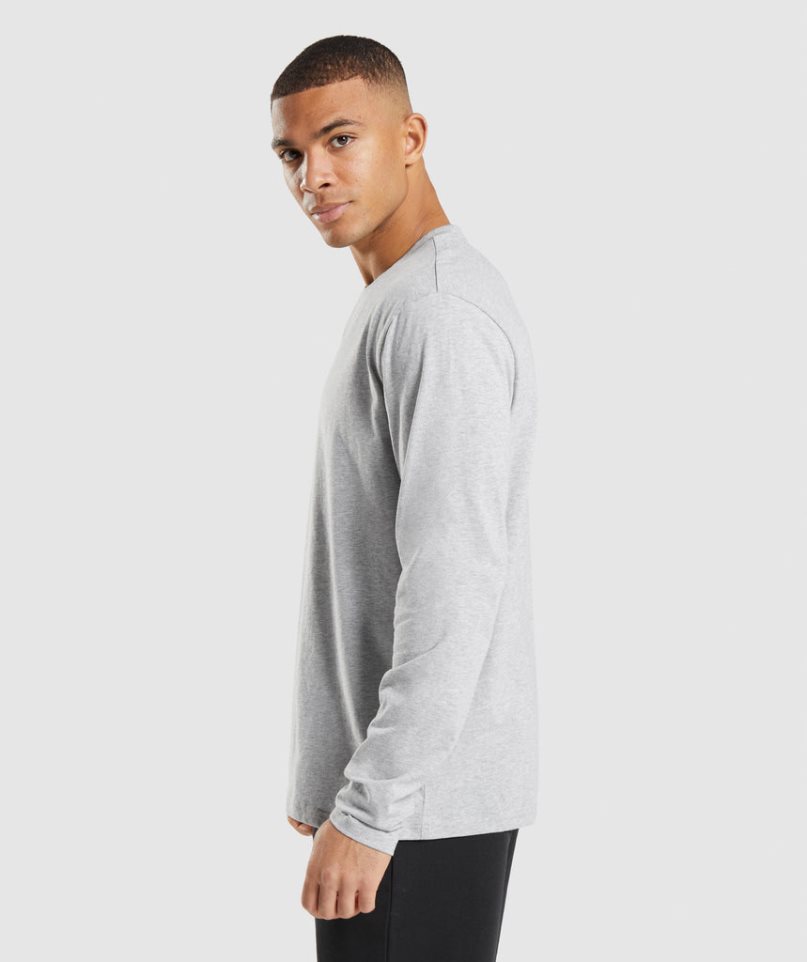 Gymshark Crest Long Sleeve T-shirt Herr Ljusgrå | SE-45832Z