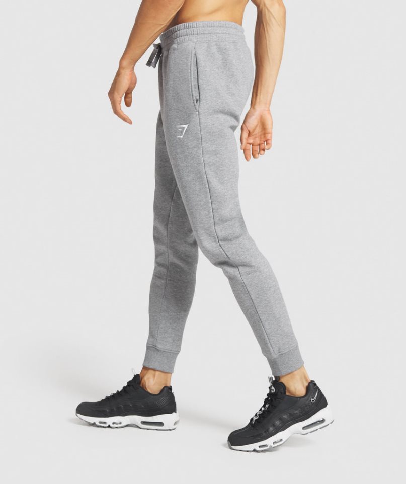 Gymshark Crest Mjukisbyxor Herr Grå | SE-31547R