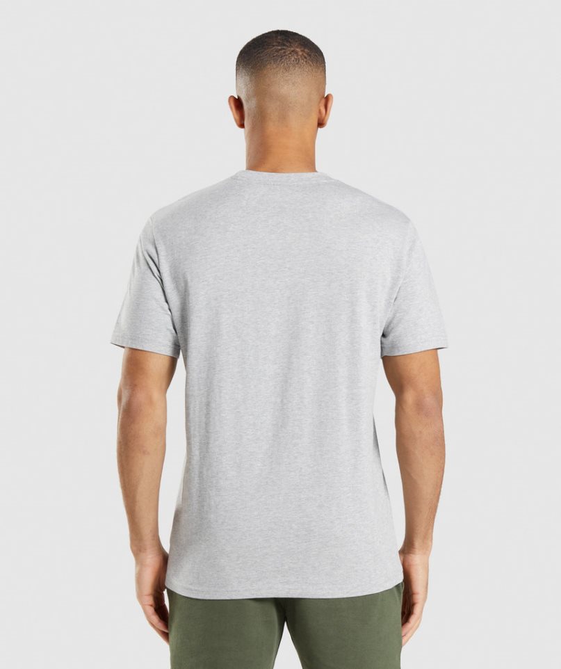 Gymshark Crest T-shirt Herr Ljusgrå | SE-71948E