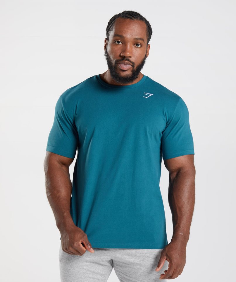 Gymshark Crest T-shirt Herr Turkos | SE-10284S