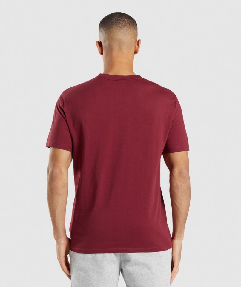 Gymshark Crest T-shirt Herr Vinröda | SE-59432Y