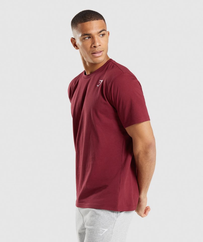 Gymshark Crest T-shirt Herr Vinröda | SE-59432Y