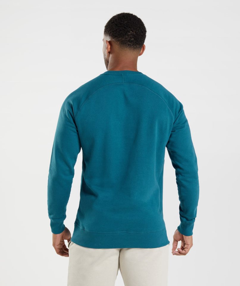 Gymshark Crest Tröjor Herr Blå | SE-81537P