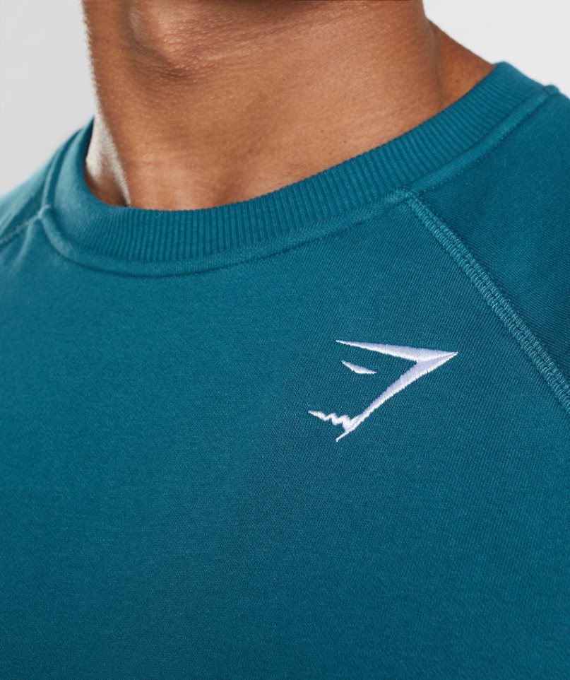 Gymshark Crest Tröjor Herr Blå | SE-81537P