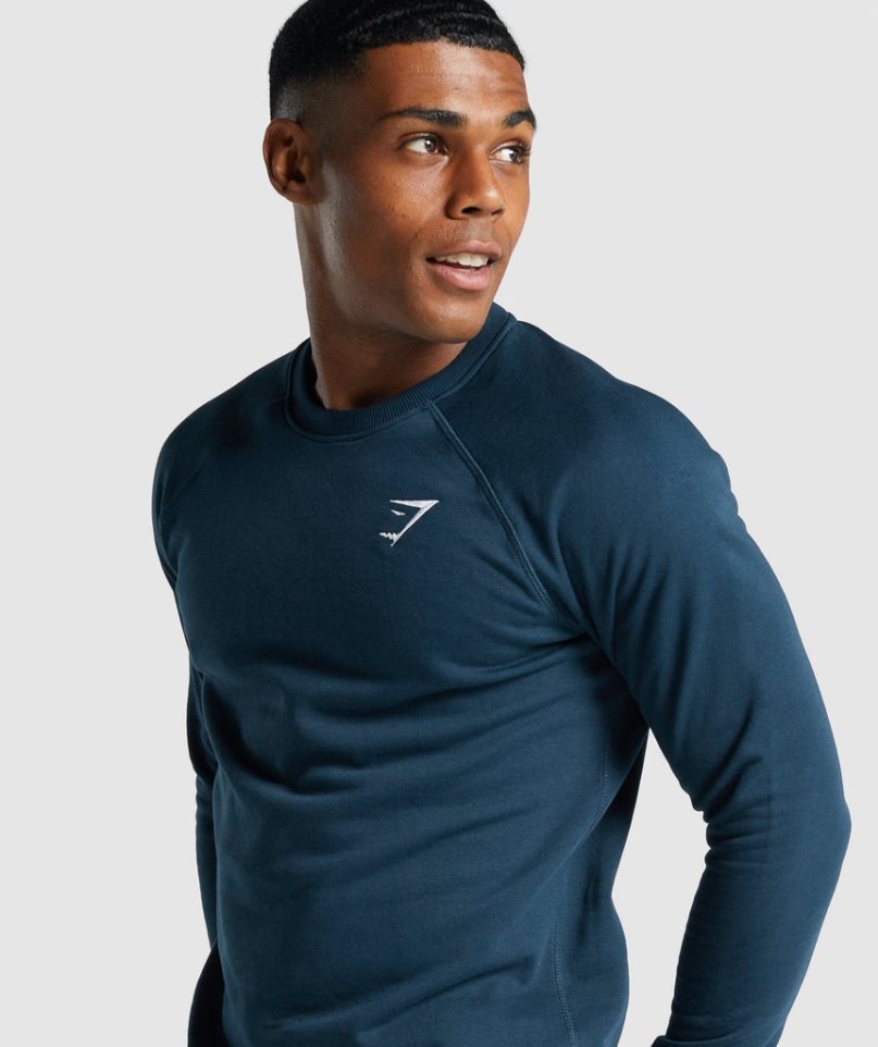 Gymshark Crest Tröjor Herr Marinblå | SE-96578M