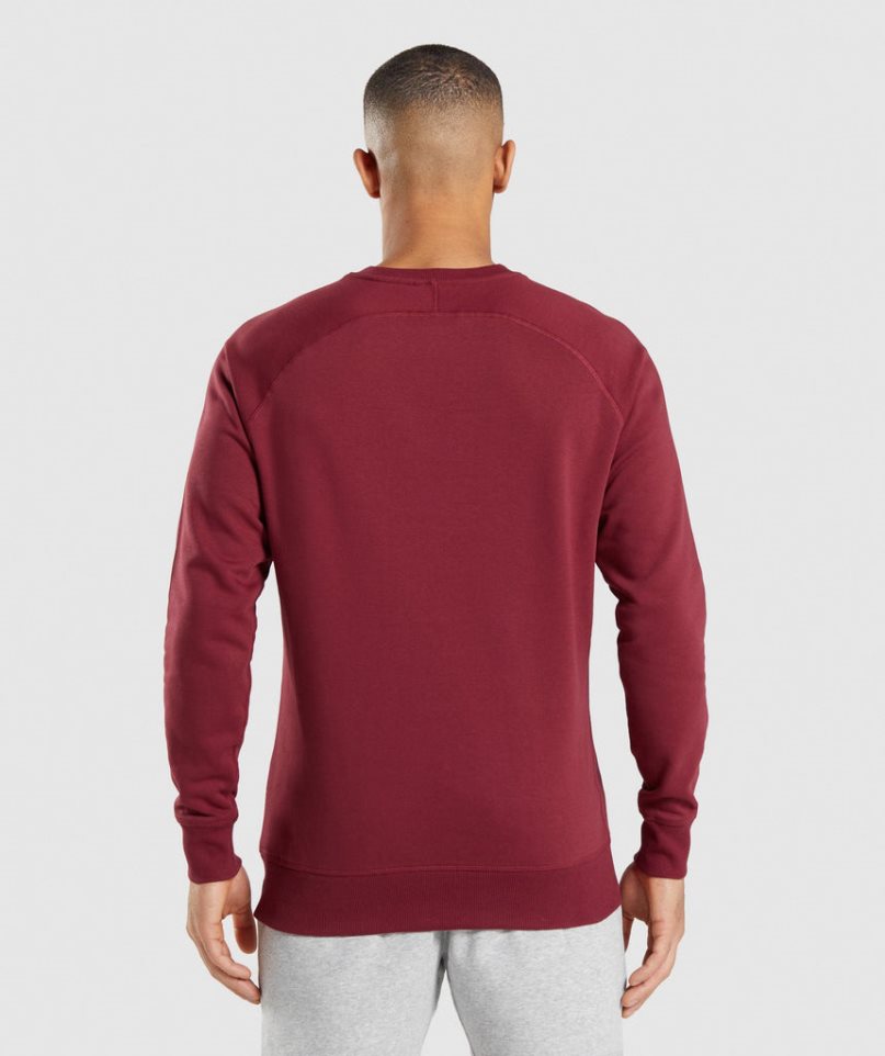 Gymshark Crest Tröjor Herr Vinröda | SE-24530A