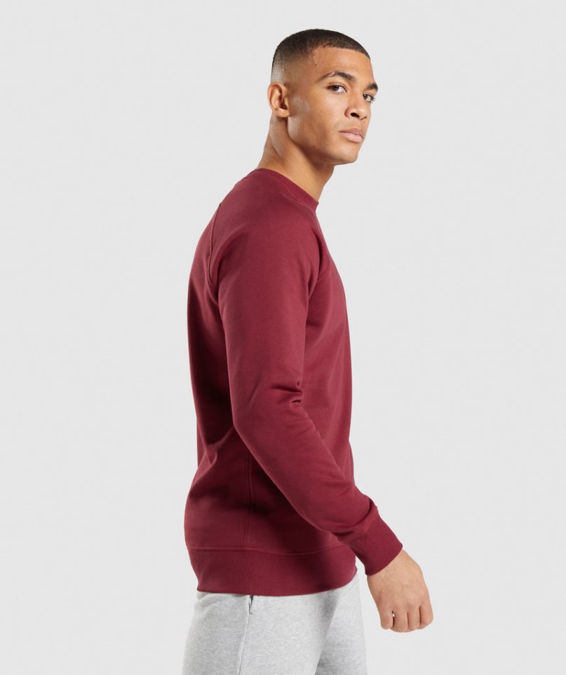 Gymshark Crest Tröjor Herr Vinröda | SE-24530A